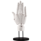 KOTOBUKIYA ARTIST SUPPORT ITEM HAND MODEL/R -WHITE-