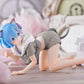 TAITO Re:Zero Starting Life in Another World Desktop Cute Rem (Cat Roomwear Ver.) Figure (Renewal Edition)