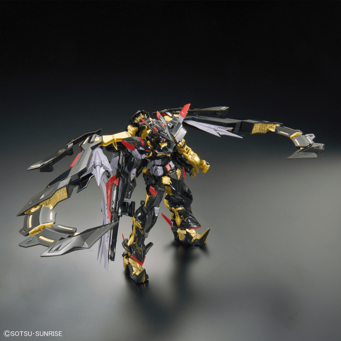 BANDAI GUNPLA: 1/144 RG MBF-P01-Re2AMATU Gundam Astray Gold Frame Amatsu Mina